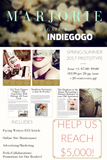 IndieGoGo MM Newsletter Pitch